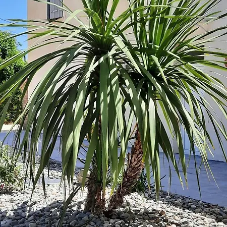 ベッド・アンド・ブレックファスト D'hote Maeva 3*