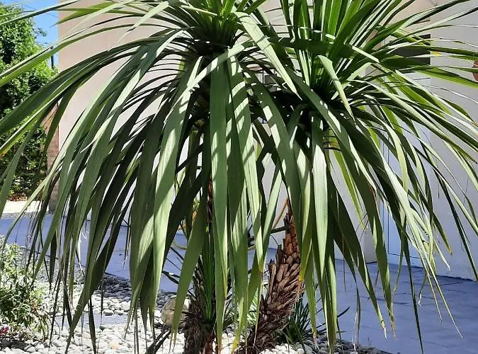 Bed & Breakfast D'hote Maeva 3*